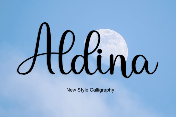 Aldina: The Sweet Script Font for Small Business Branding