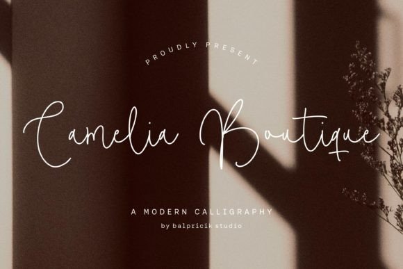 Camelia Boutiue Font Review: Elegant Script for Branding