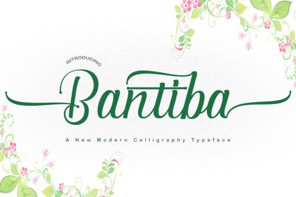 Elevate Your Web Design with Bantiba Typeface