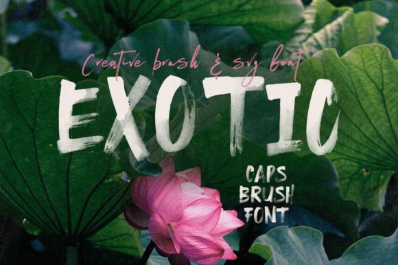 Exotic: The Bold Brush Font for Scroll-Stopping Headlines