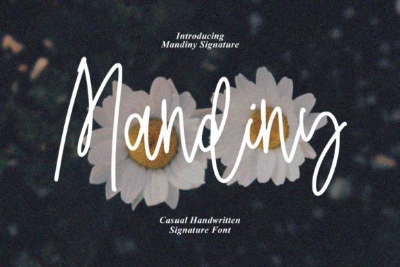 Mandiny: The Script Handwritten Font for Bold Campaigns