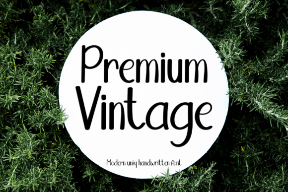 Premium Vintage Font Review: A Playful Script for Modern Design